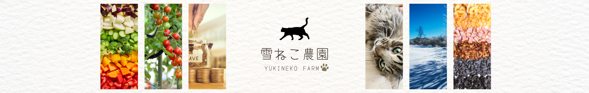 雪ねこ農園 -猫と人と野菜を結ぶ、北海道のちいさな農園 雪ねこ農園 -猫と人と野菜を結ぶ、北海道のちいさな農園