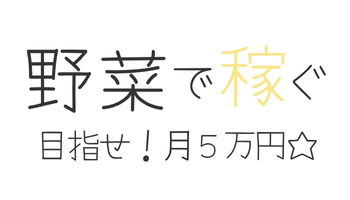 野菜で稼ぐ