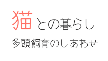 猫の多頭飼育