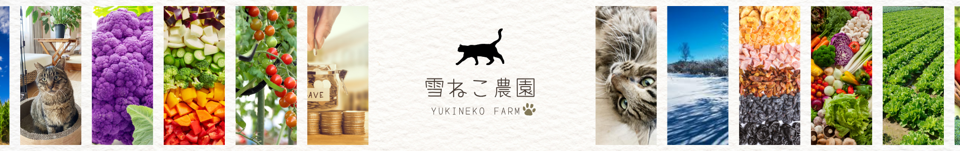 雪ねこ農園