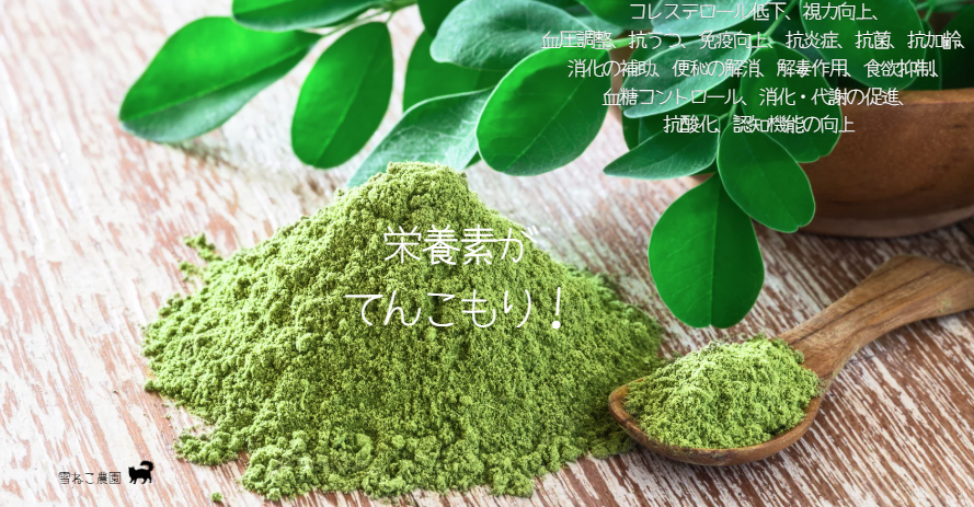 珍しい野菜 モリンガ