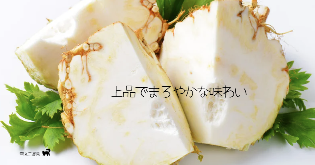 珍しい野菜 セロリアック